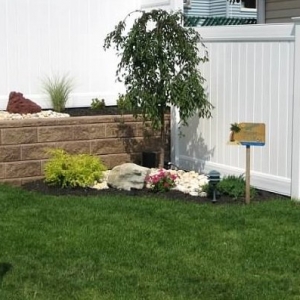 Photo of Quality Maintenance & Landscaping