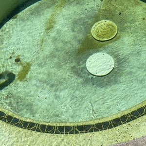 Petaluma Northern Oasis Pool Services