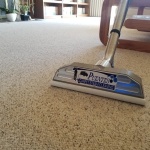 Photo of Puentes Carpet Cleaning