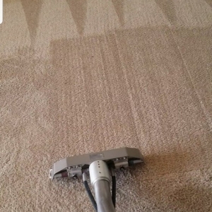Photo of Puentes Carpet Cleaning