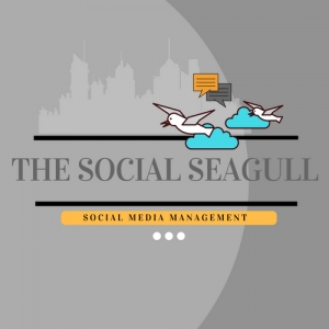 Photo of The Social Seagull