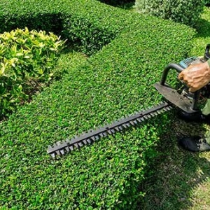 Charlotte Two Brothers Lawn Care