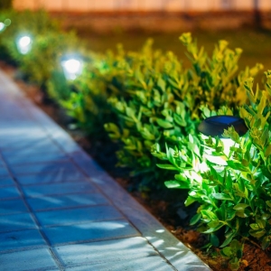 Photo of DMR Landscapes