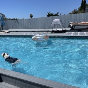Photo of Zach Attack Pool Service