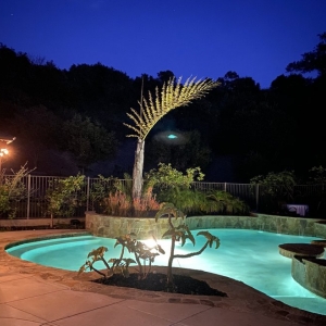 Photo of Zach Attack Pool Service