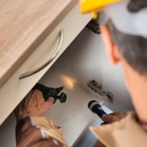 Photo of Ryon's Pest Solutions