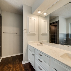 Photo of Rental Zebra
