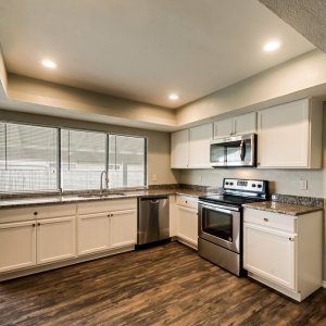 Photo of Rental Zebra