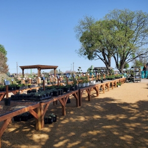 Photo of Shades of Green Nursery and Landscape
