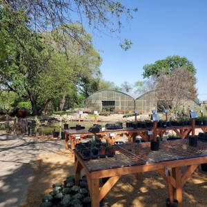 Photo of Shades of Green Nursery and Landscape