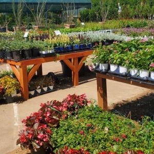 Photo of Shades of Green Nursery and Landscape