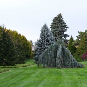 Photo of Keep It Green By Grounds Keeper, Inc.