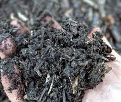 Photo of Duncan's Landscape & Pine Needles
