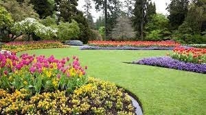 Photo of Duncan's Landscape & Pine Needles