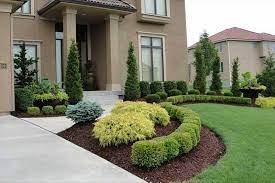 Photo of Duncan's Landscape & Pine Needles