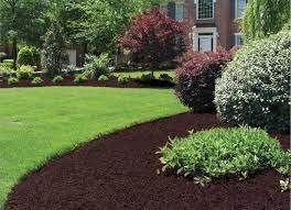 Photo of Duncan's Landscape & Pine Needles