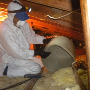 Photo of Shore Insulation