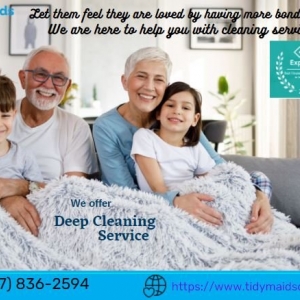 Indianapolis Tidy Maids