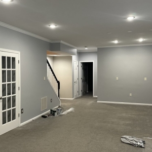 Silver Spring Alpha Remodeling Pro