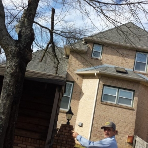 Photo of Affordable Lawncare