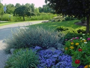 Photo of Affordable Lawncare