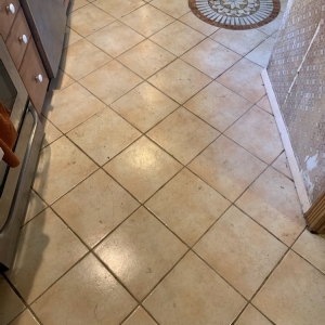 Photo of Titanium Grout Lines