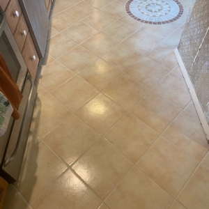 Photo of Titanium Grout Lines