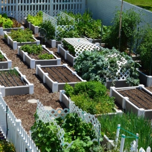 Photo of EZ Gates & Gardens