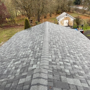 Photo of Peaks and Valleys Roofing