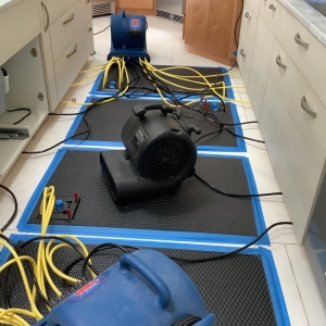 Photo of DisasterPro Restoration