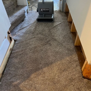 Photo of DisasterPro Restoration