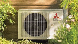 Photo of Artic Air