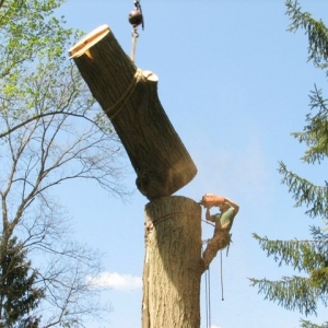 Photo of Luxury Lawn Care & Maintenance