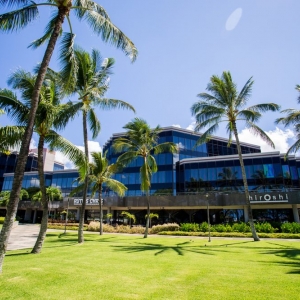 Houston Zhang & Associates