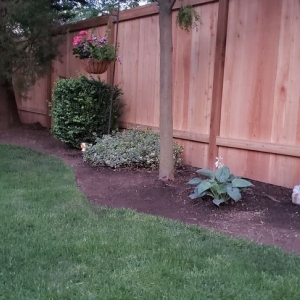 Photo of Cascade Fence