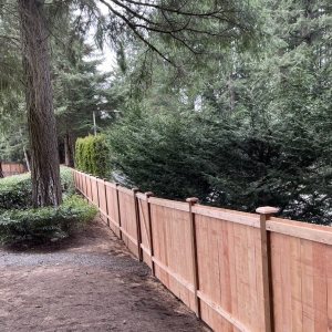 Photo of Cascade Fence