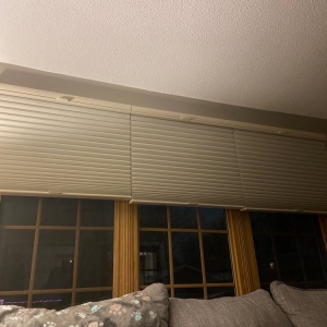 Photo of Little Blind Spot