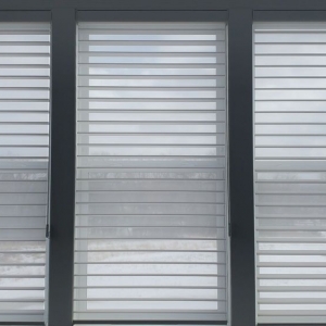 Photo of Little Blind Spot