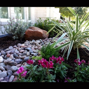 Photo of HDG Landscape Design
