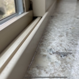 Photo of Tops Solid Surface