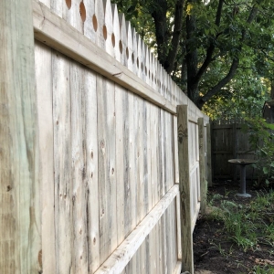 Photo of Taylor Fence