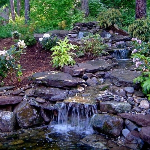 Charlotte All Natural Streams Landscaping
