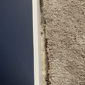 Photo of Carpet Guys Oakland County MI