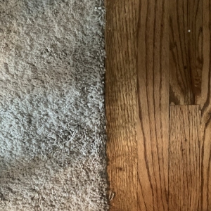 Photo of Carpet Guys Oakland County MI
