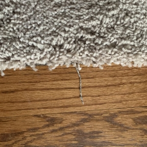 Photo of Carpet Guys Oakland County MI