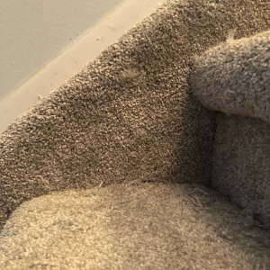 Photo of Carpet Guys Oakland County MI