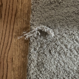 Photo of Carpet Guys Oakland County MI