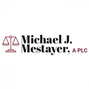 Photo of Michael J Mestayer