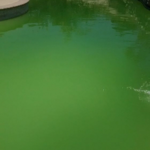 Photo of ECO Pools and more