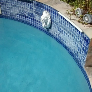 Photo of ECO Pools and more